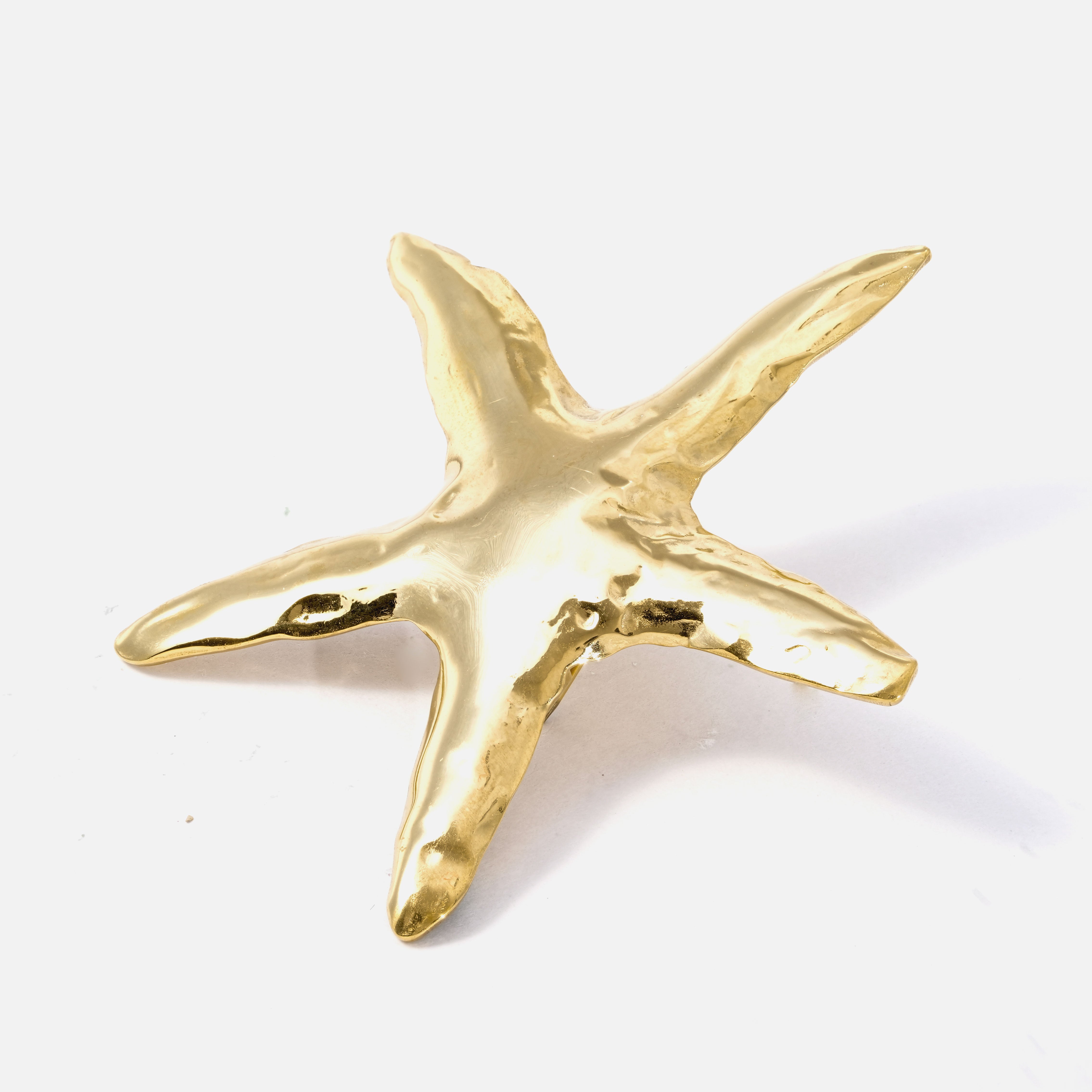 Elegant Star Fish Brooch Pin – Nature-Inspired Accessory for Women